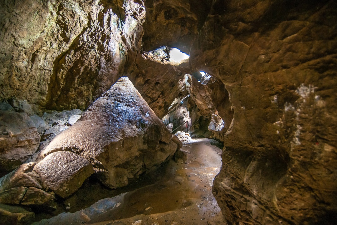 Bild für Kindergeburtstage